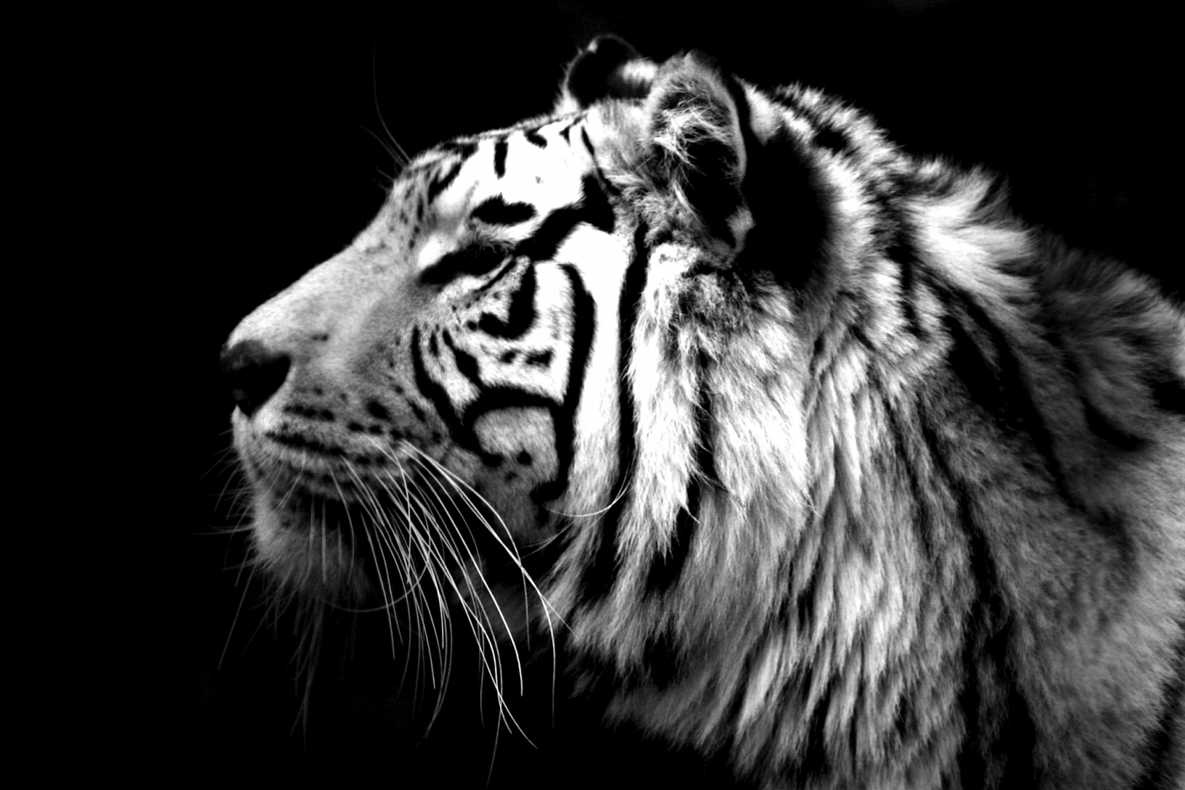 My profile My profile