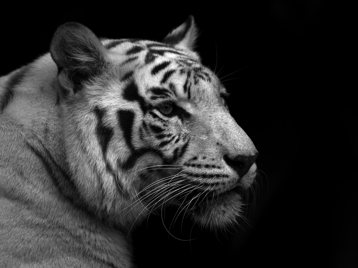 My profile My profile