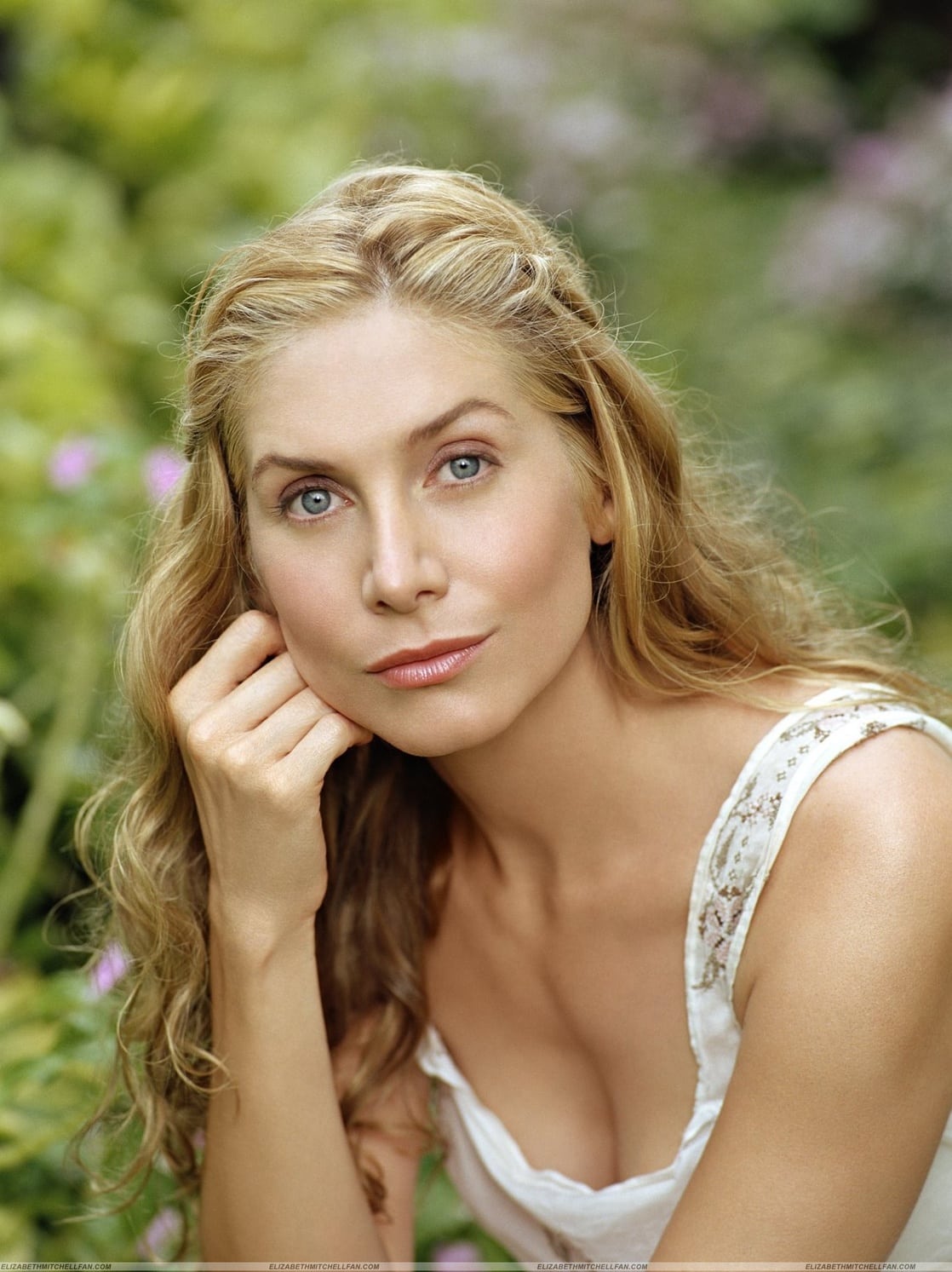 Elizabeth Mitchell Picture