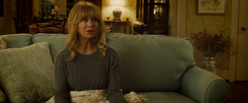 Snatched (2017) Snatched (2017)