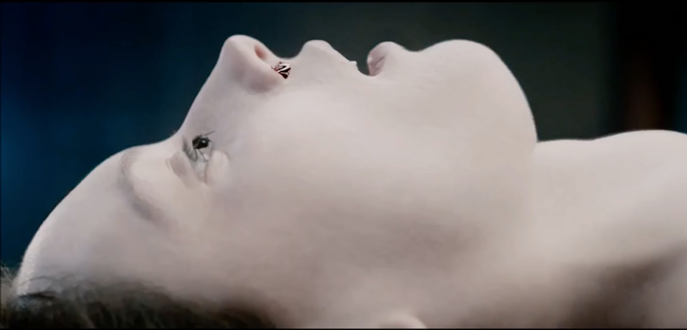 The Autopsy of Jane Doe (2016) The Autopsy of Jane Doe (2016)