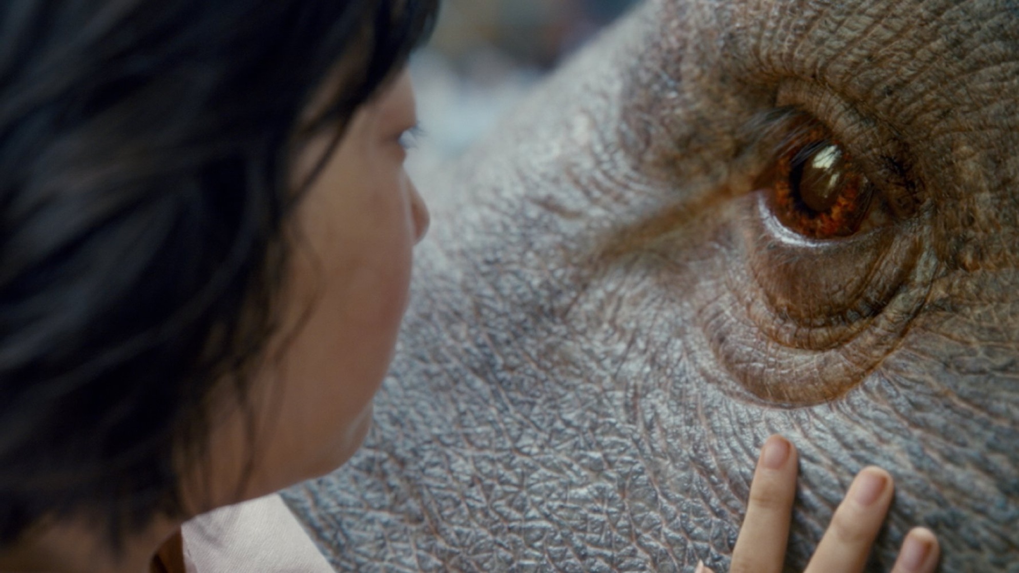 Okja (2017) Okja (2017)