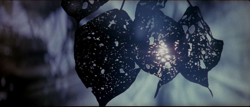 The Thin Red Line (1998) The Thin Red Line (1998)