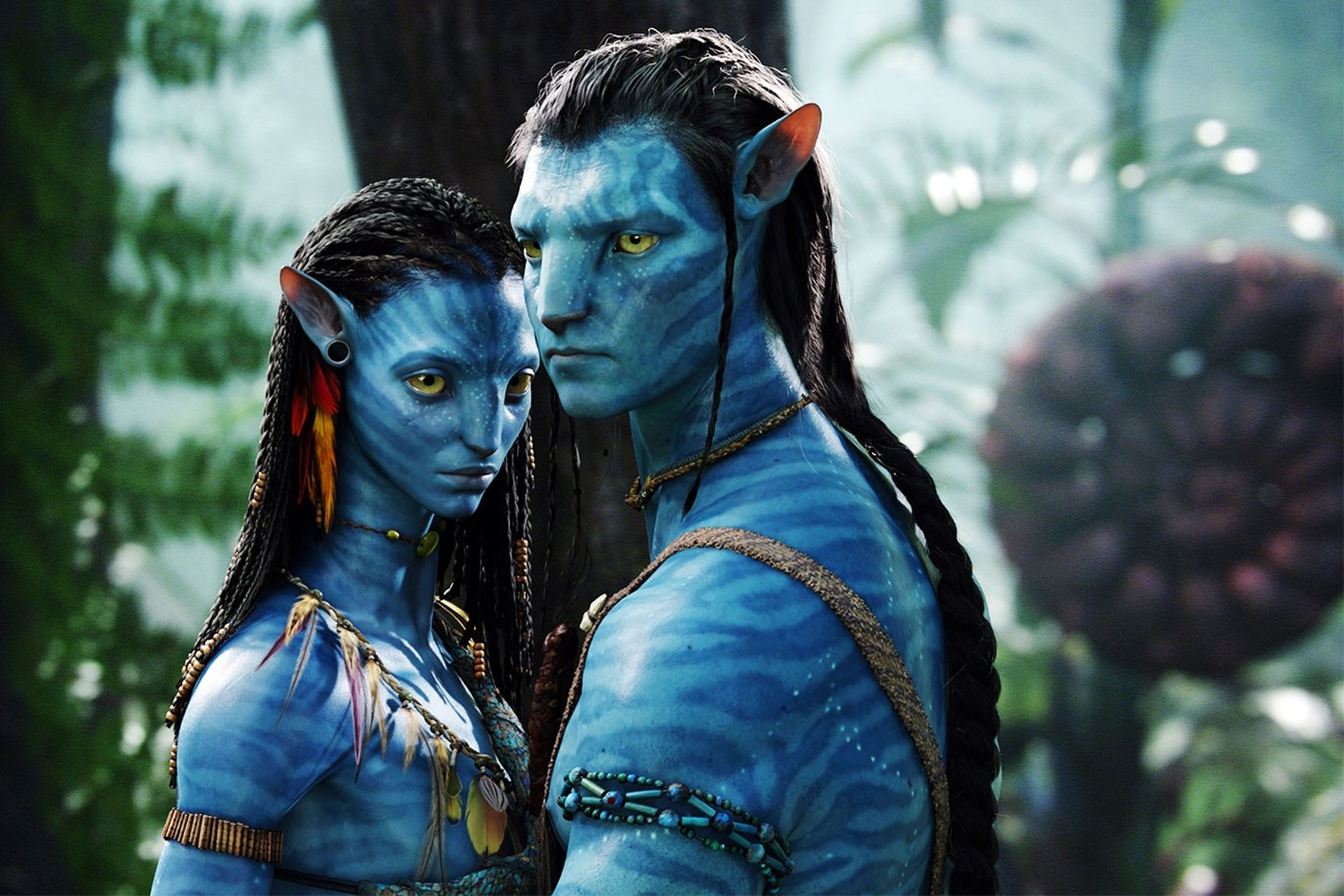 Avatar Avatar