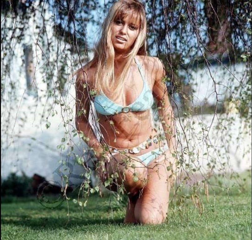 Picture Of Susan George