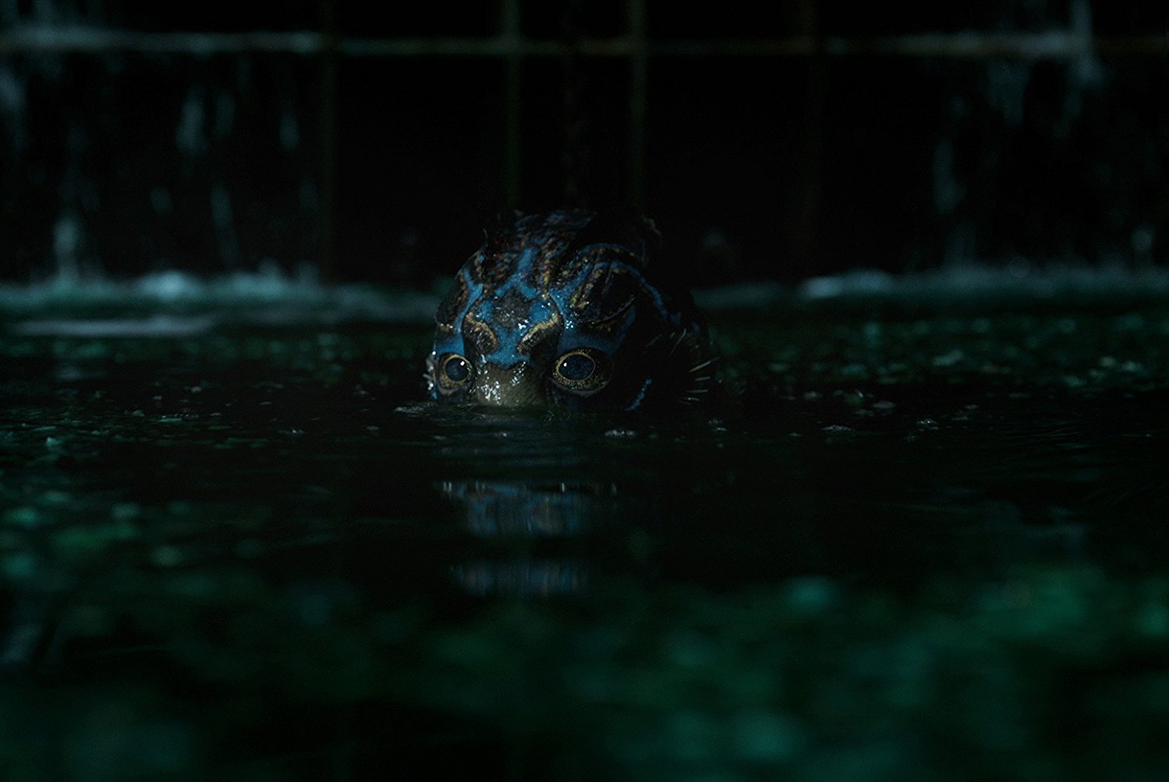 The Shape of Water (2017) The Shape of Water (2017)