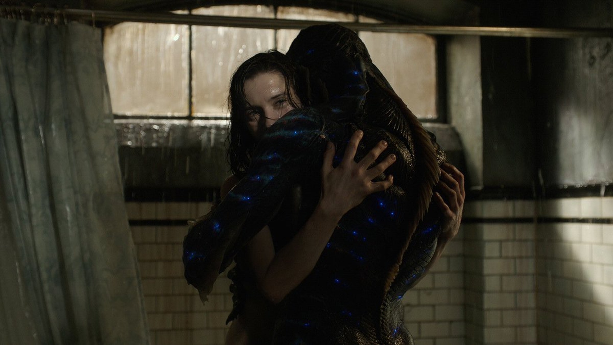 The Shape of Water (2017) The Shape of Water (2017)