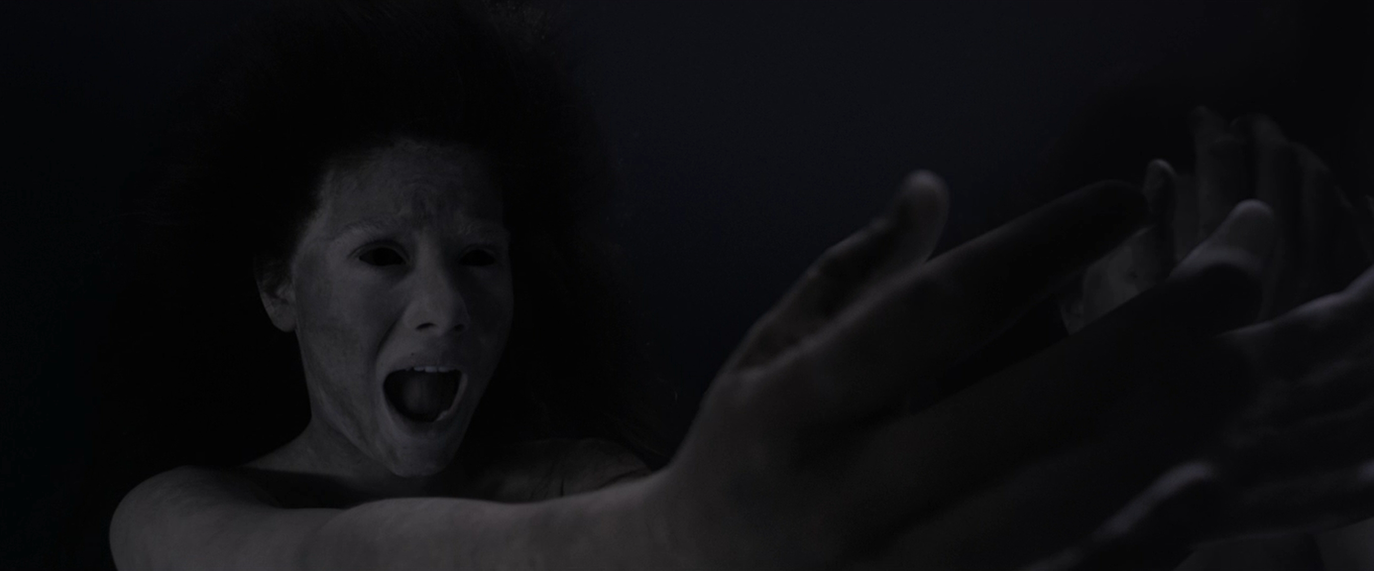 The Lodgers (2017) The Lodgers (2017)