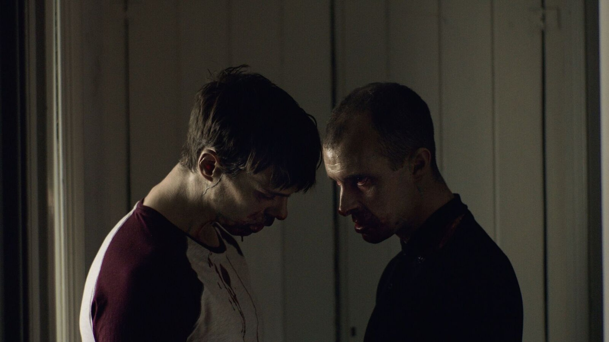 The Cured (2017) The Cured (2017)