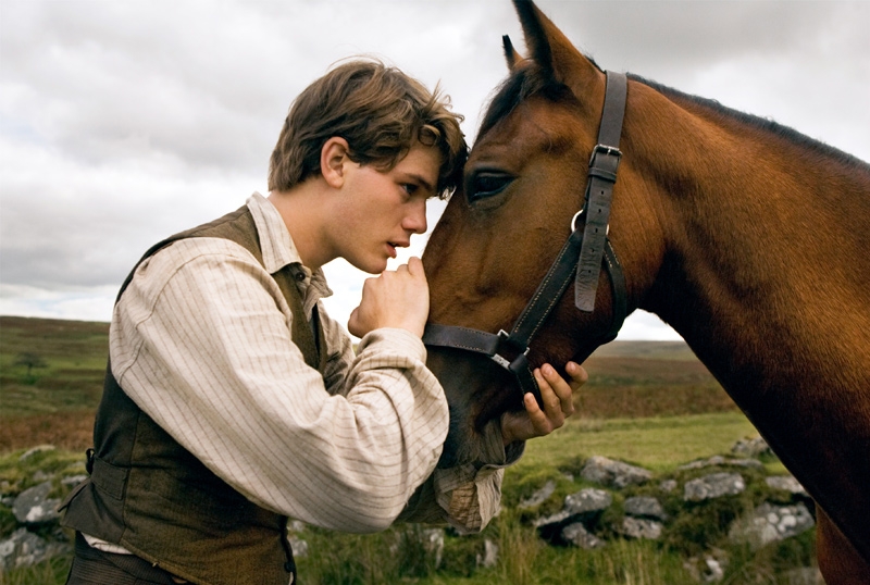 War Horse War Horse