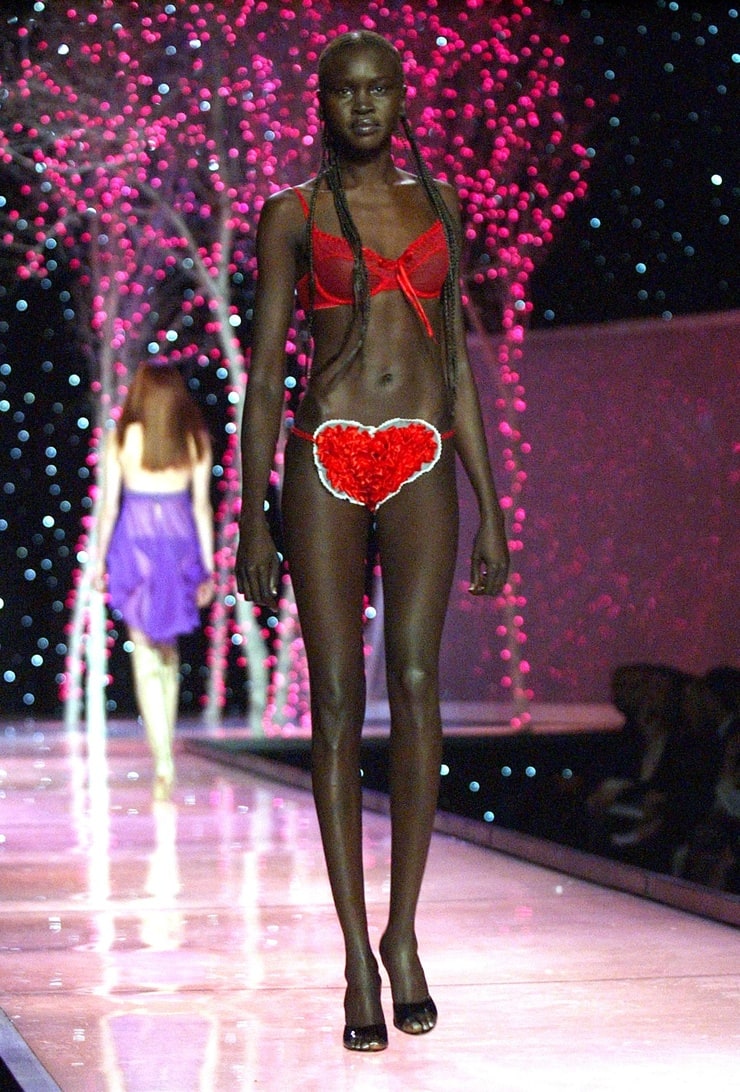 Picture Of Alek Wek