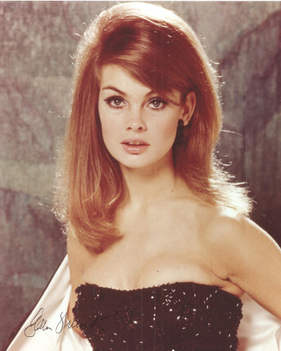 Picture Of Jean Shrimpton 8723