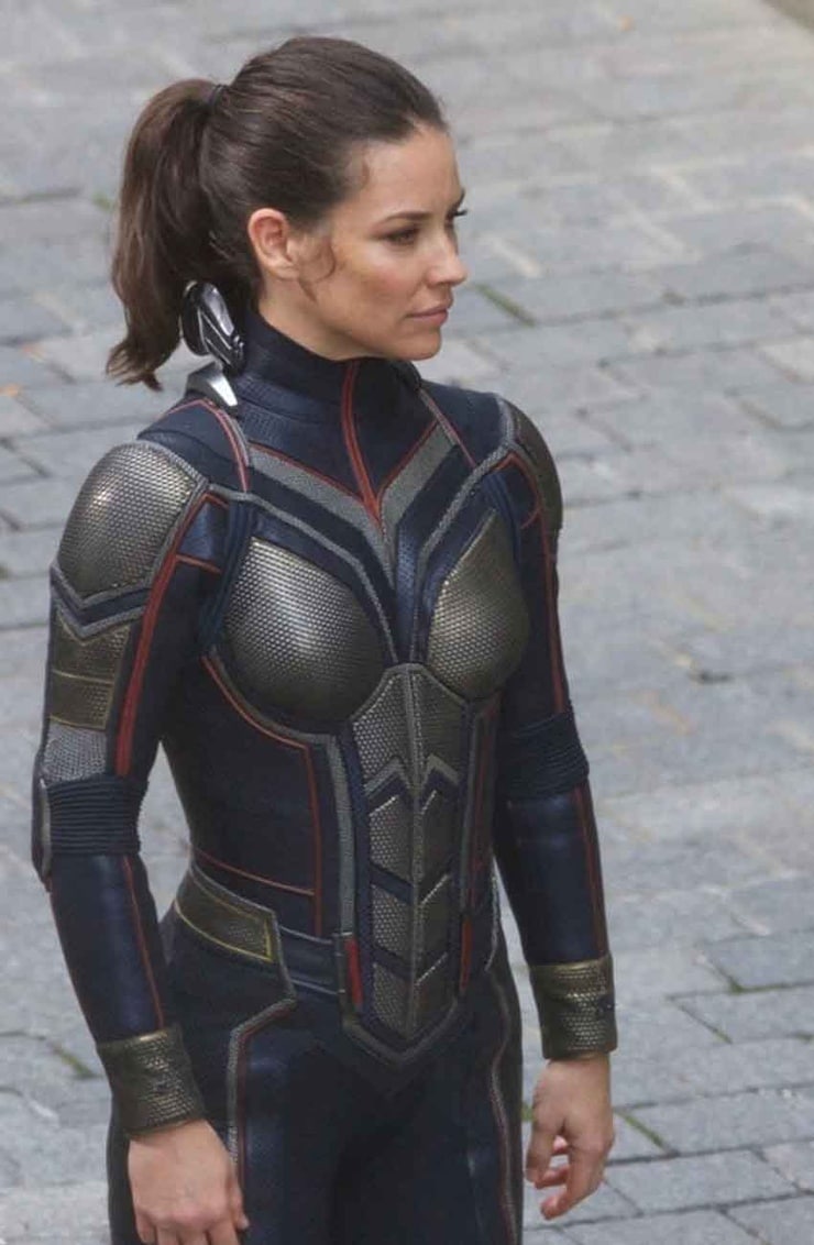 Picture Of The Wasp Hope Van Dyne Evangeline Lilly