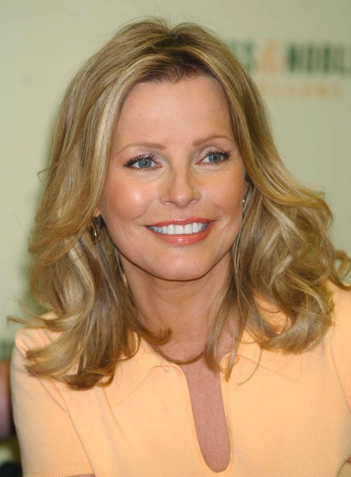 61 Hot Pictures Of Cheryl Ladd Which Are Really A Sexy 