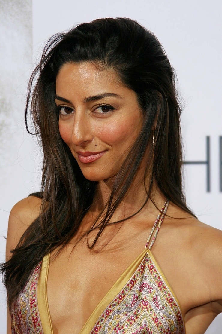 Necar Zadegan Image