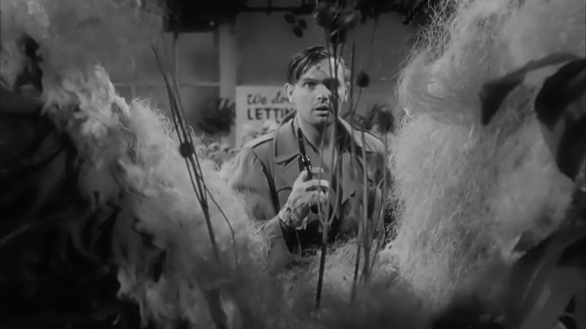 The Little Shop of Horrors (1960) The Little Shop of Horrors (1960)