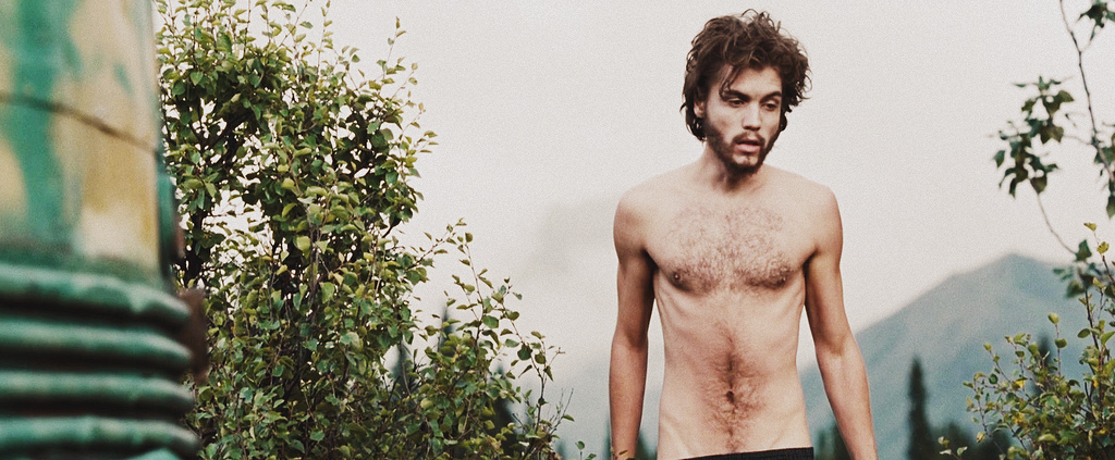 Into the Wild Into the Wild
