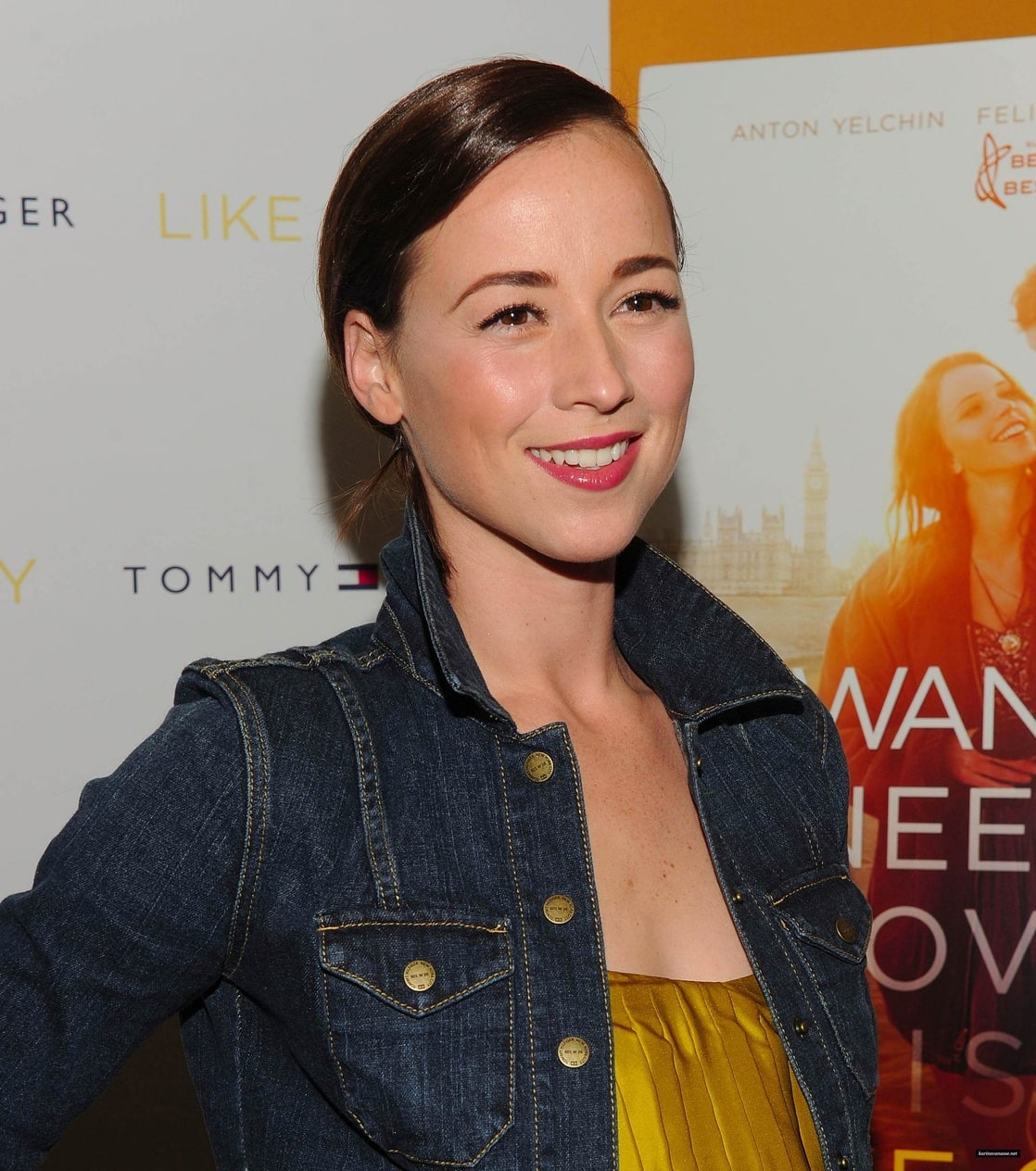 Picture Of Karine Vanasse