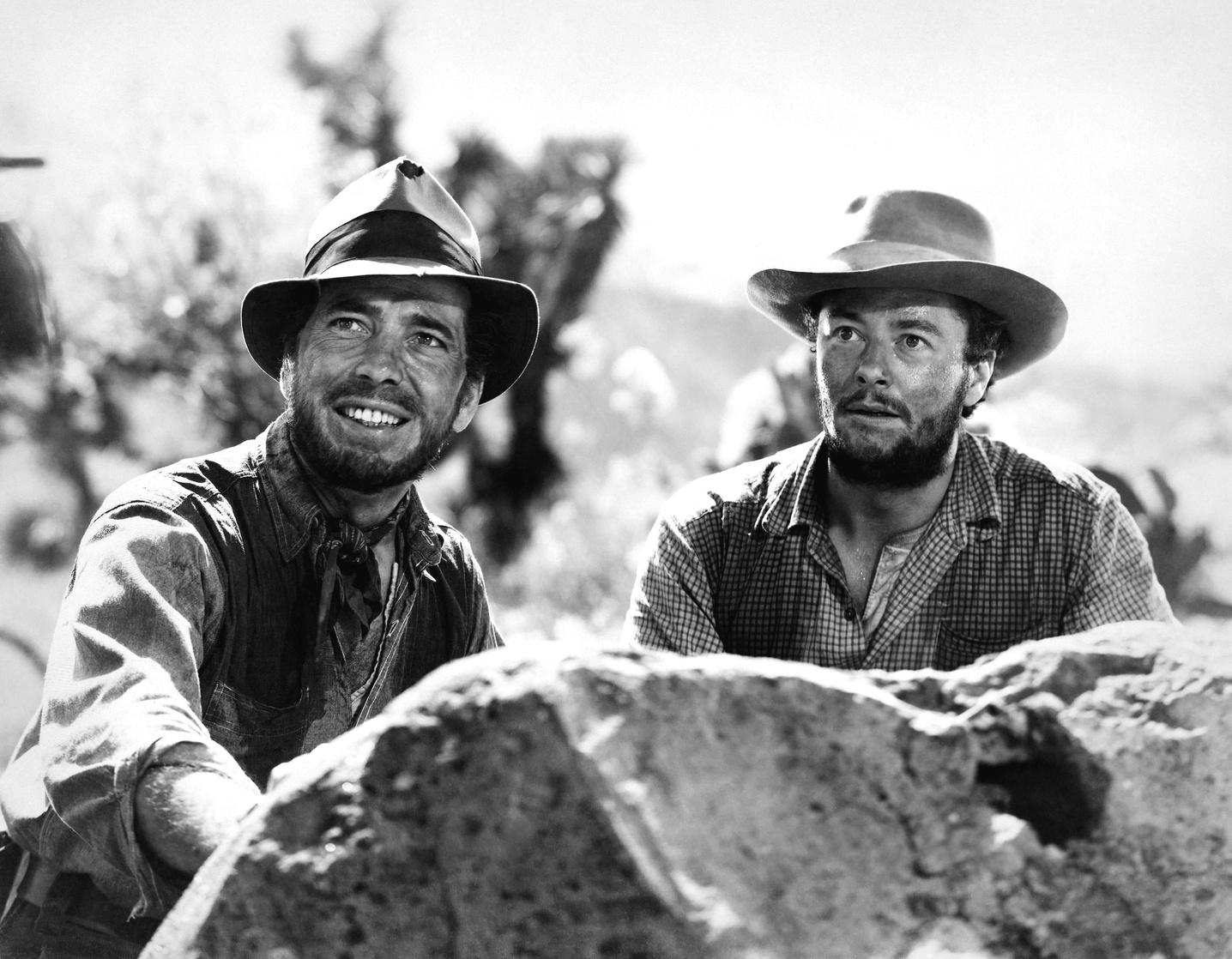 The Treasure of the Sierra Madre The Treasure of the Sierra Madre