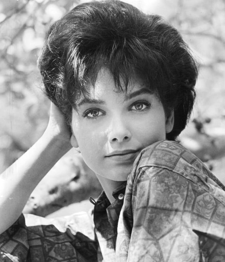 Picture Of Suzanne Pleshette