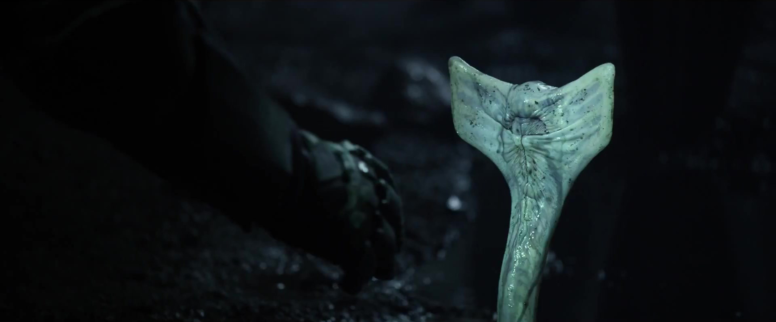 Prometheus Prometheus