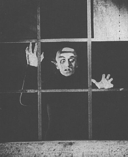 Picture Of Nosferatu A Symphony Of Horror