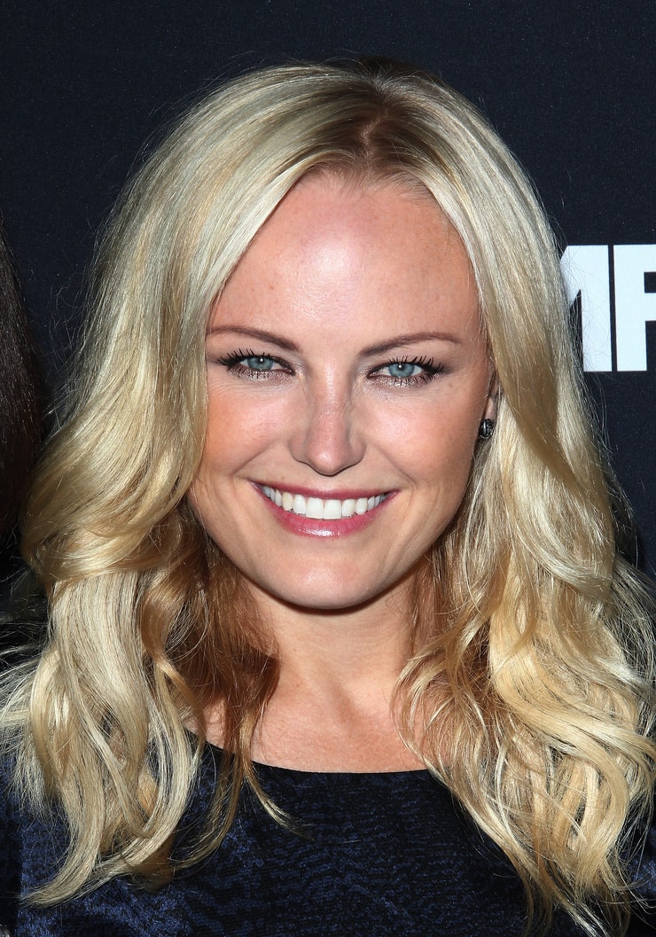 Picture Of Malin Akerman