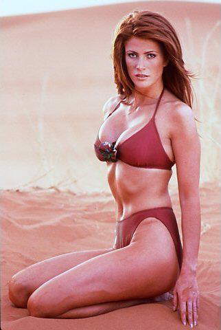 Angie Everhart Image