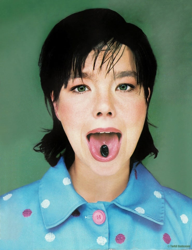 Picture of Björk