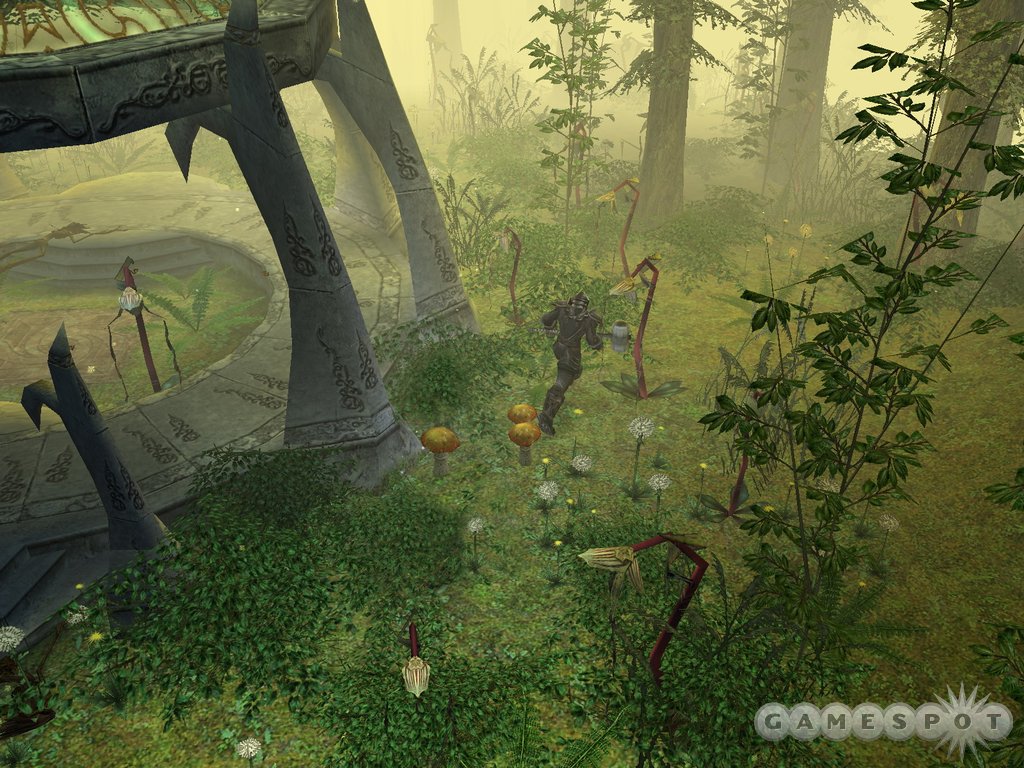 Dungeon Siege II Dungeon Siege II