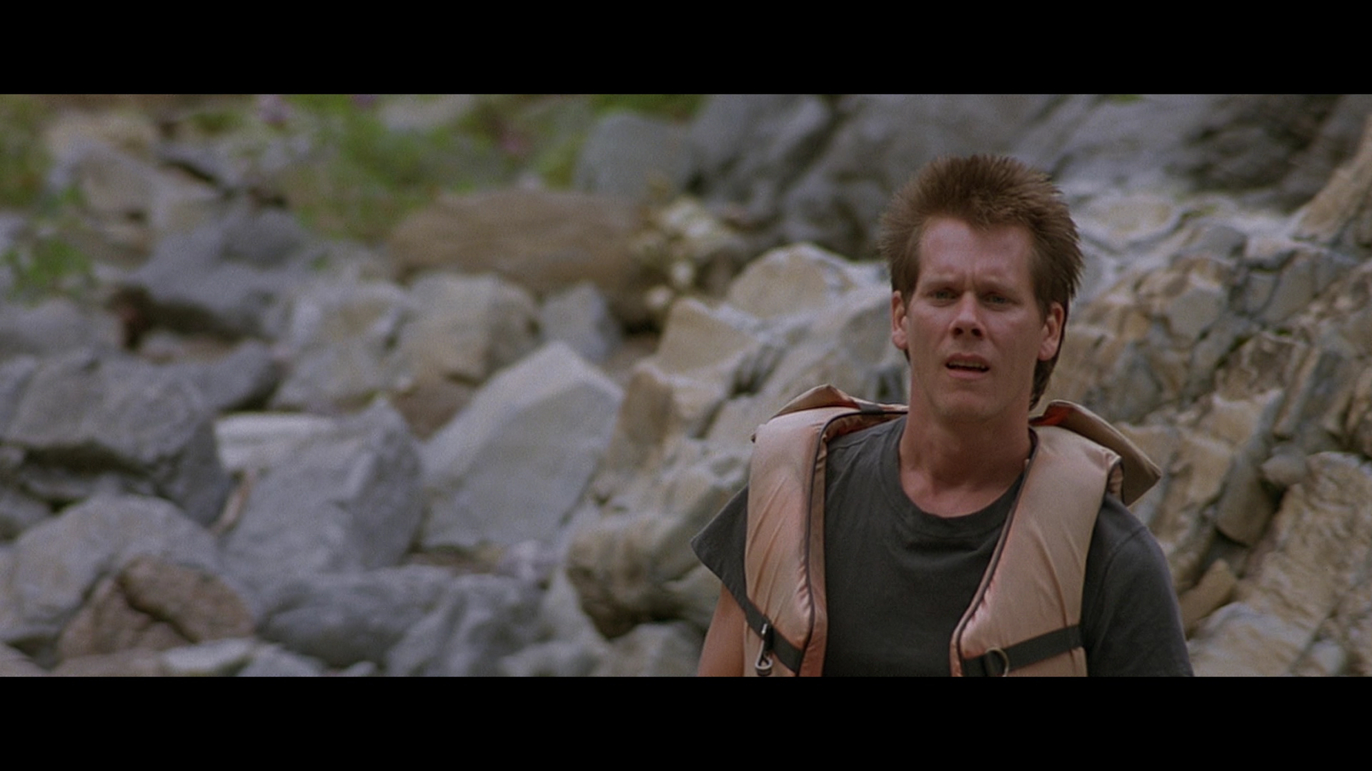 The River Wild (1994) The River Wild (1994)