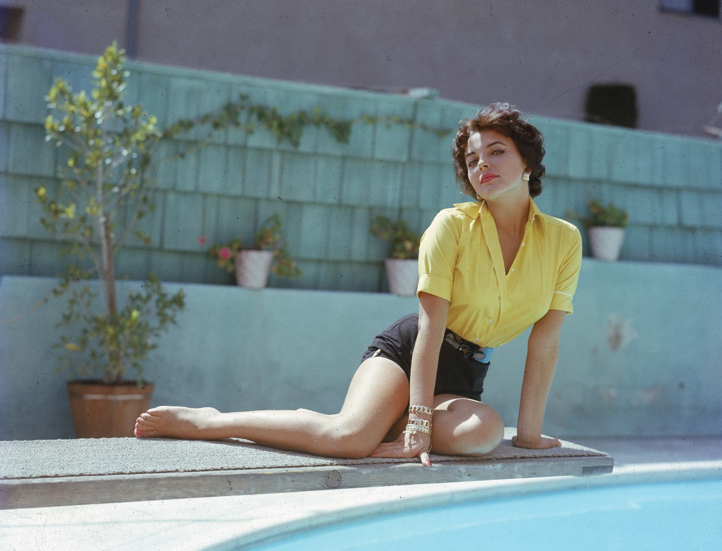 Joan Collins Joan Collins
