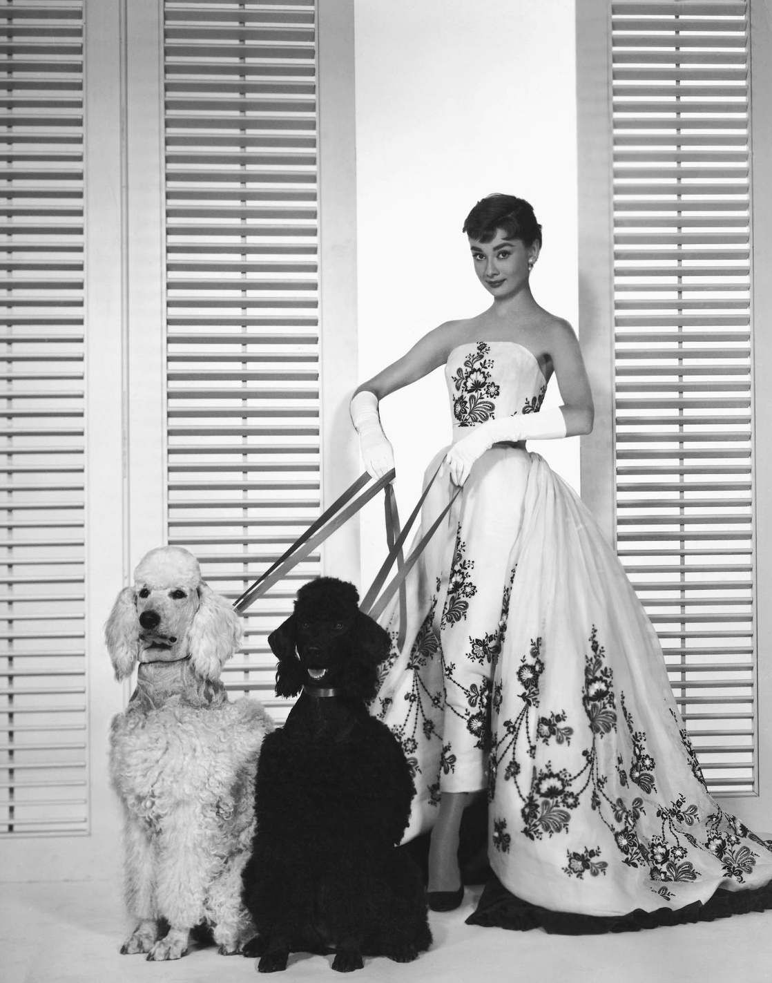 Audrey Hepburn Audrey Hepburn