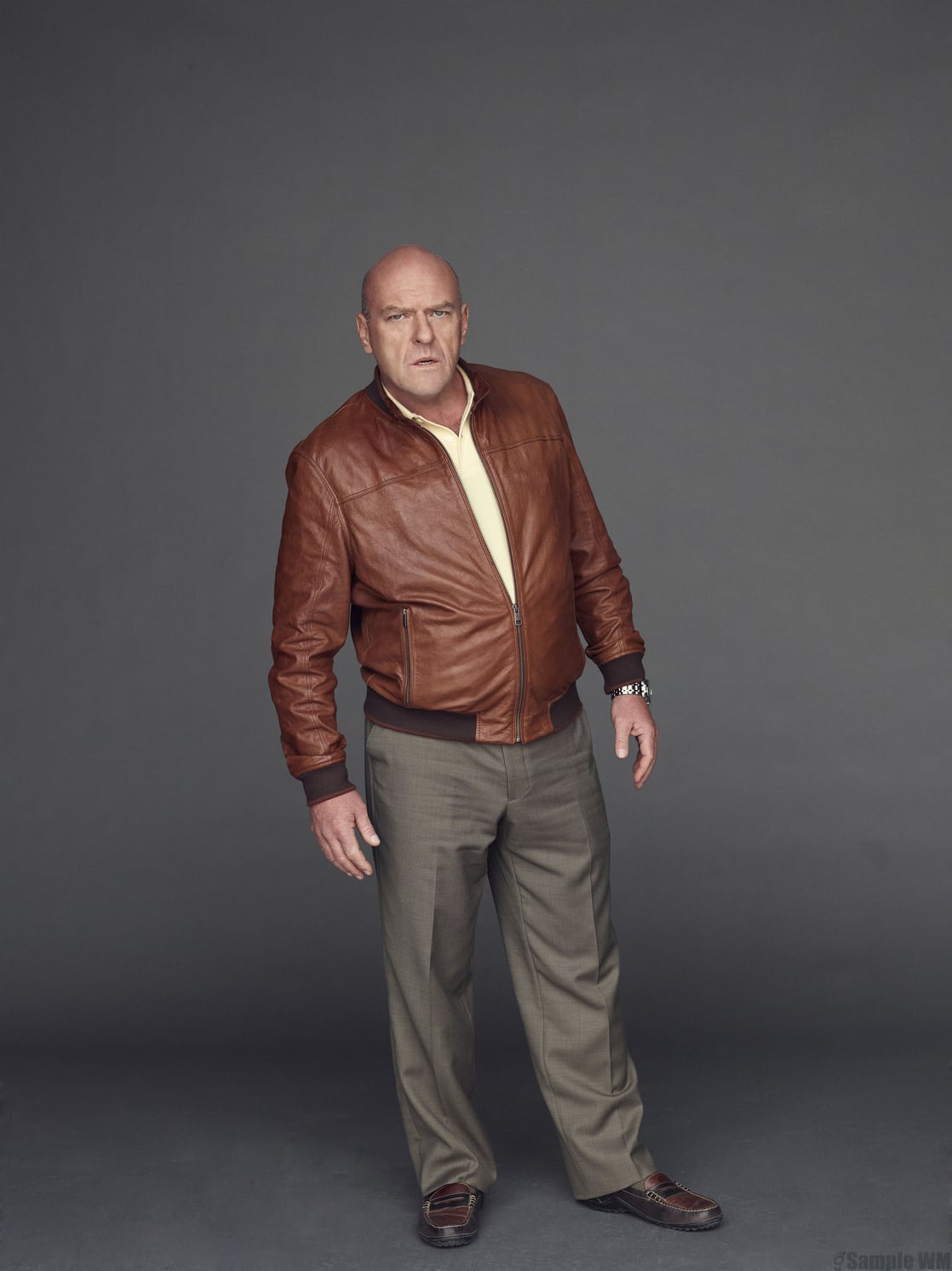 Picture of Dean Norris