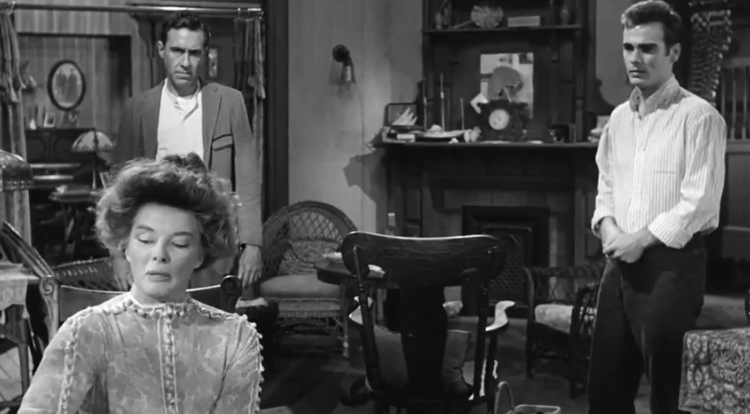 Long Day`S Journey Into Night [1962]