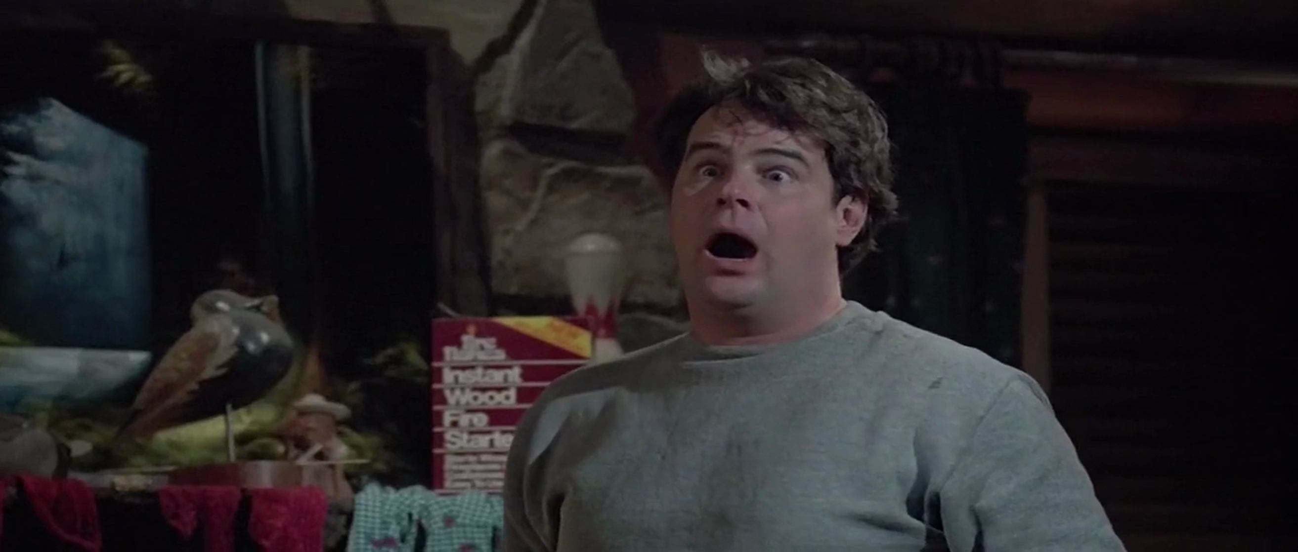 The Great Outdoors (1988) The Great Outdoors (1988)