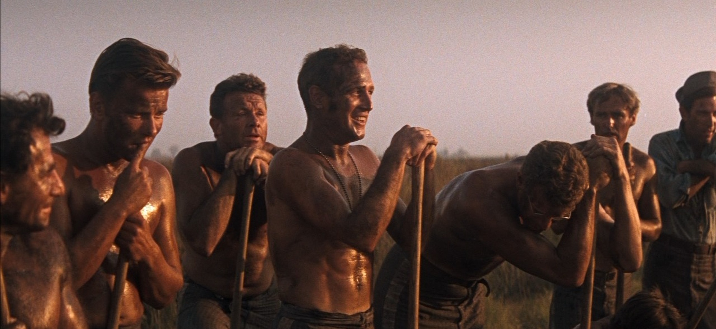 Cool Hand Luke Cool Hand Luke