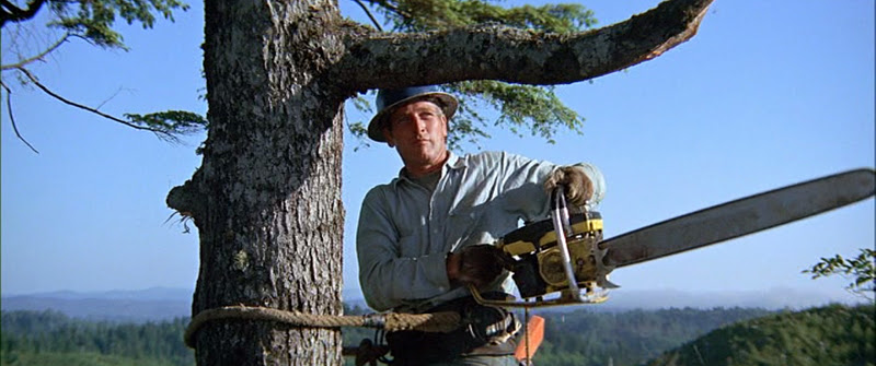 Sometimes a Great Notion (1971) Sometimes a Great Notion (1971)