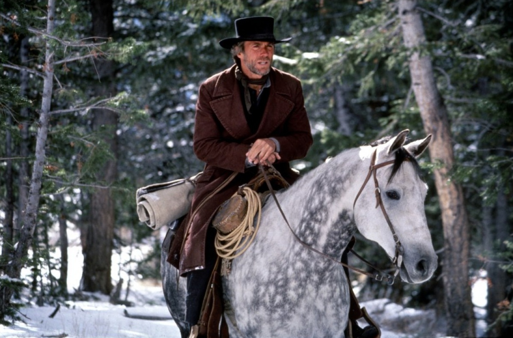 Pale Rider (1985) Pale Rider (1985)