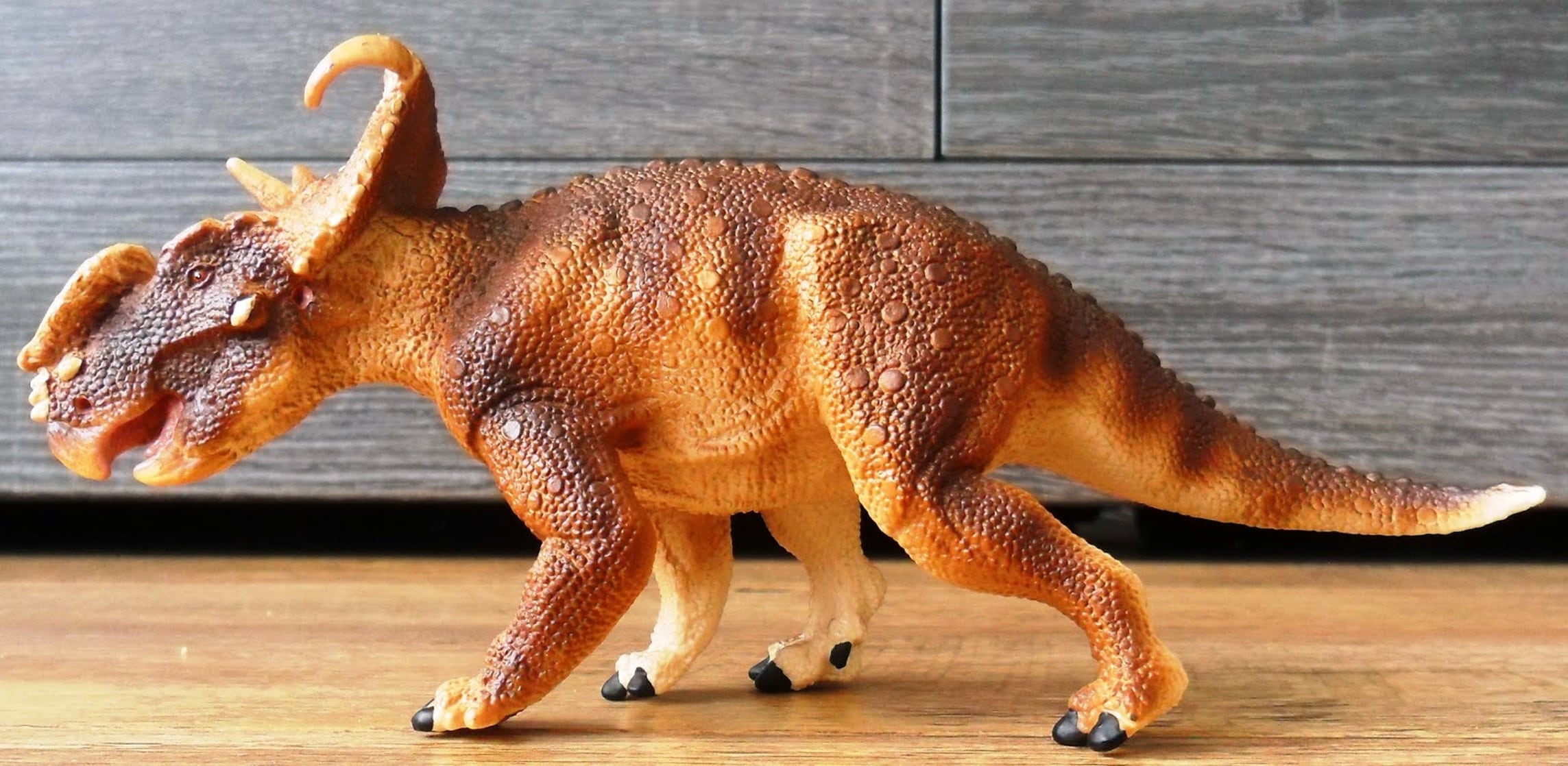 safari pachyrhinosaurus