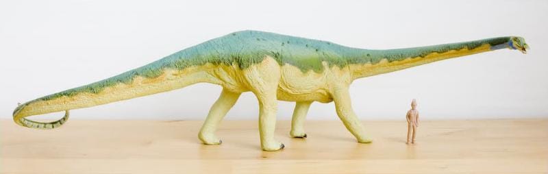 carnegie collection diplodocus