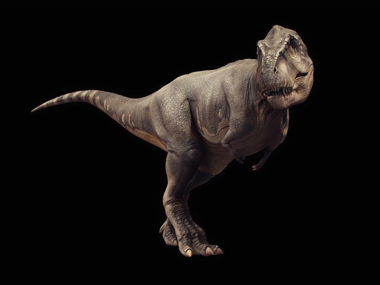 740full-tyrannosaurus-rex-(-t--rex-).jpg