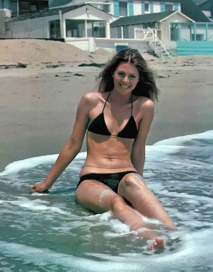 Picture Of Lindsay Wagner