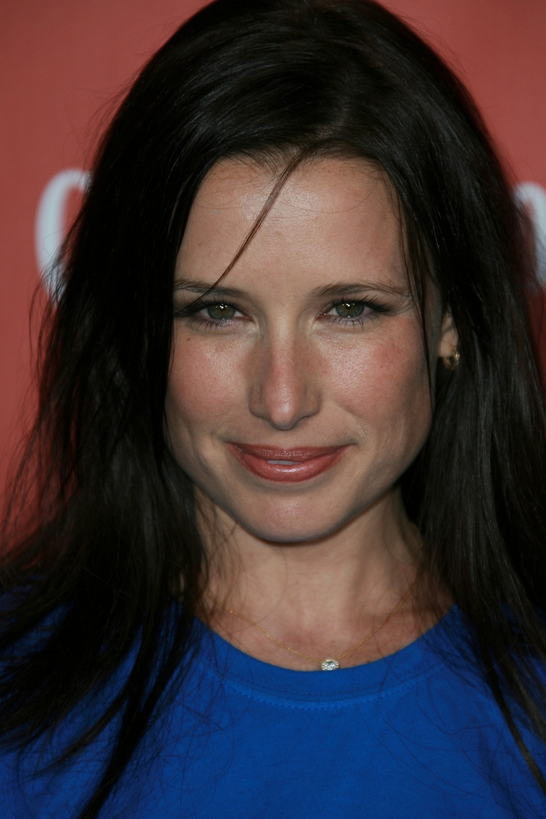 Shawnee Smith Net Worth