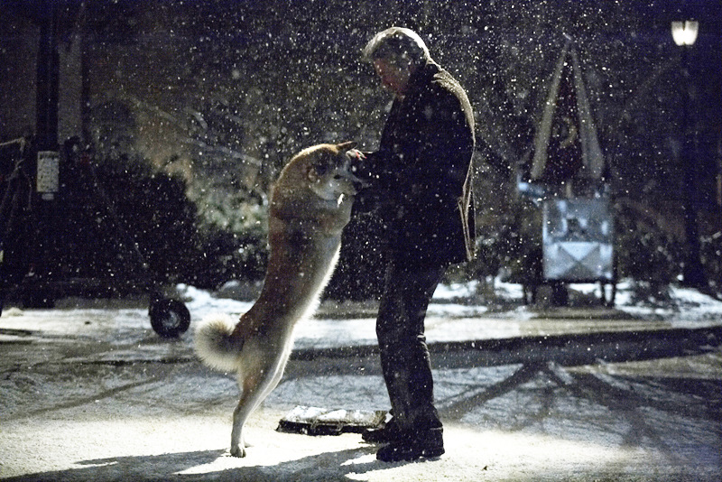 Hachiko: A Dog's Story Hachiko: A Dog's Story