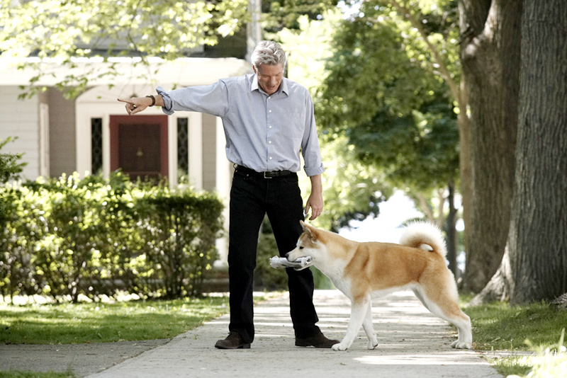 Hachi: A Dog's Tale Hachi: A Dog's Tale