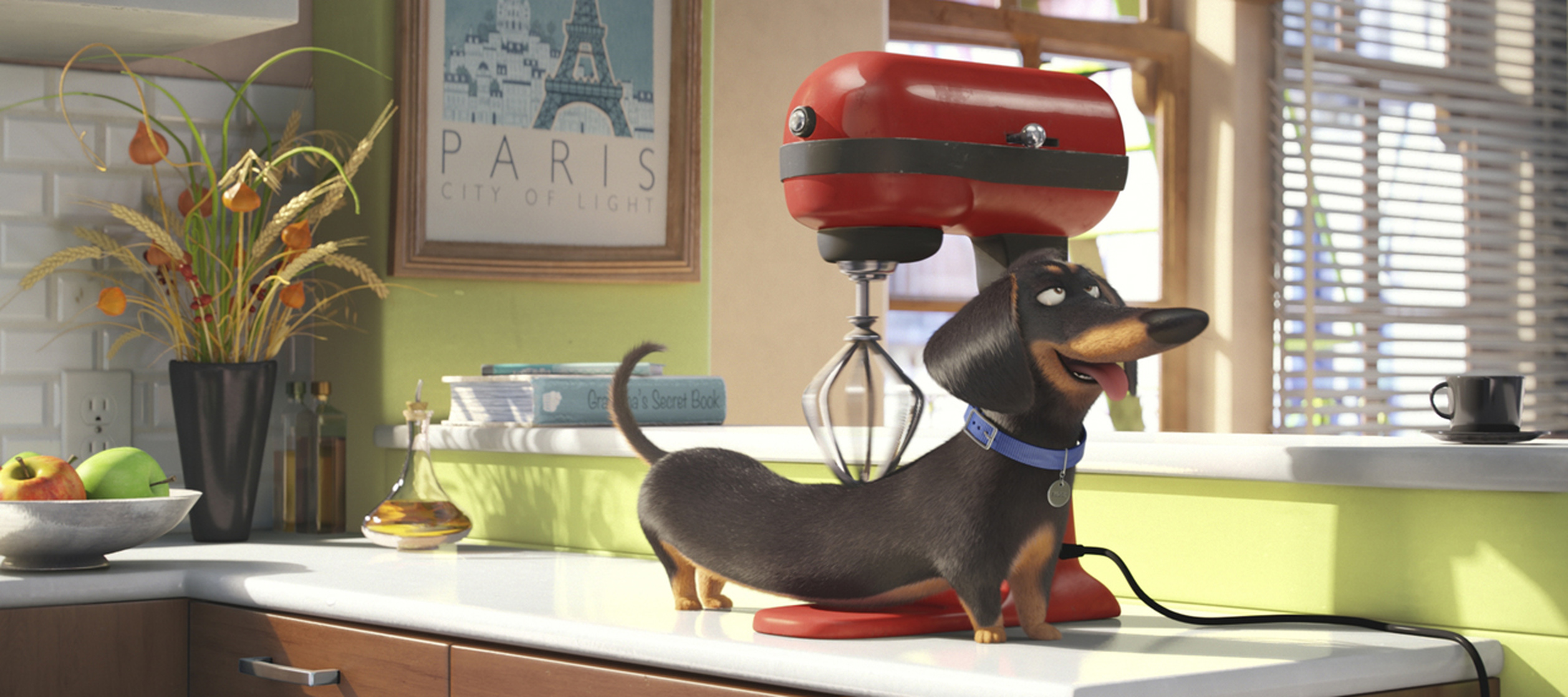 The Secret Life of Pets (2016) The Secret Life of Pets (2016)