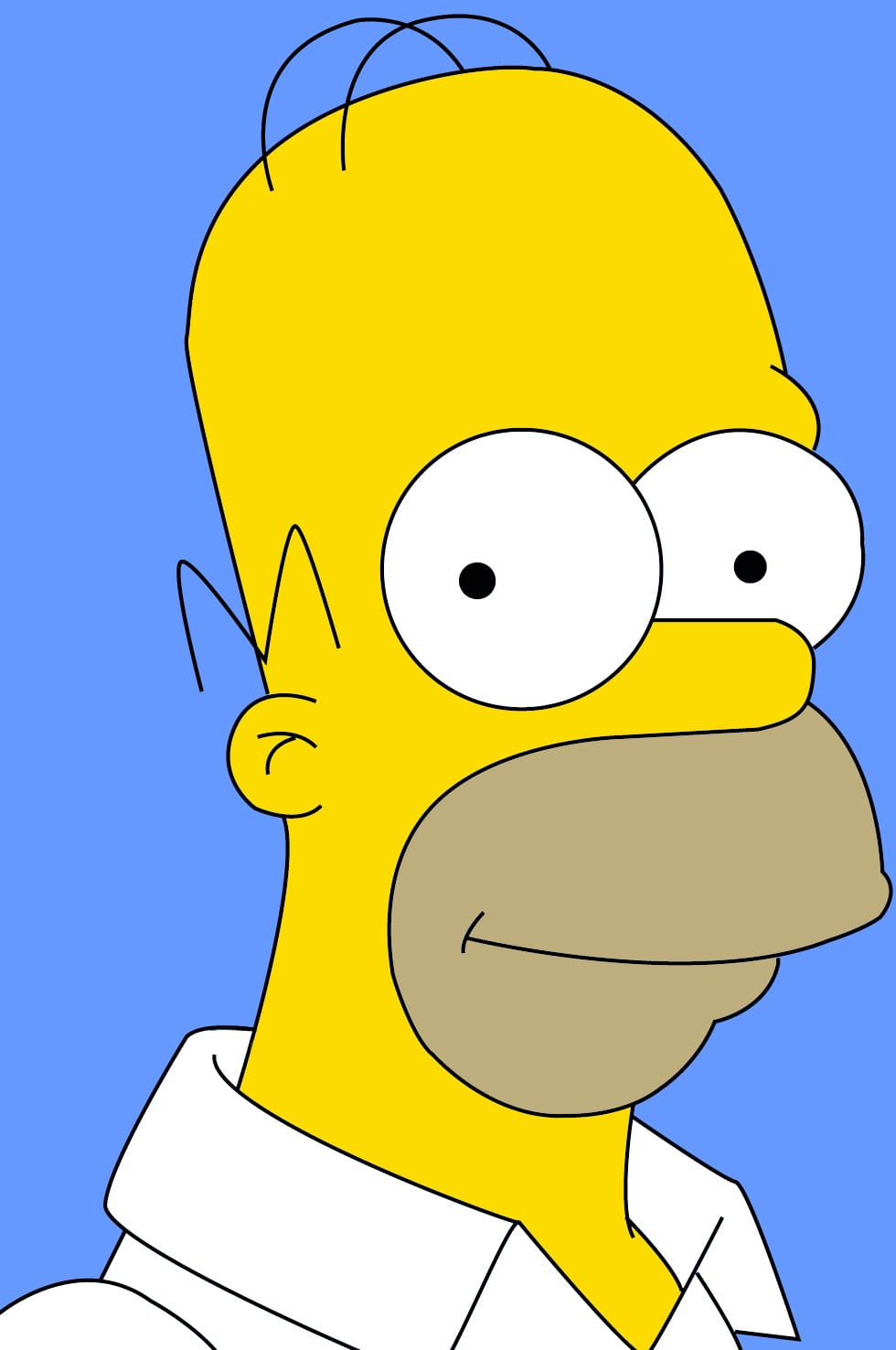 Homer Gambaran