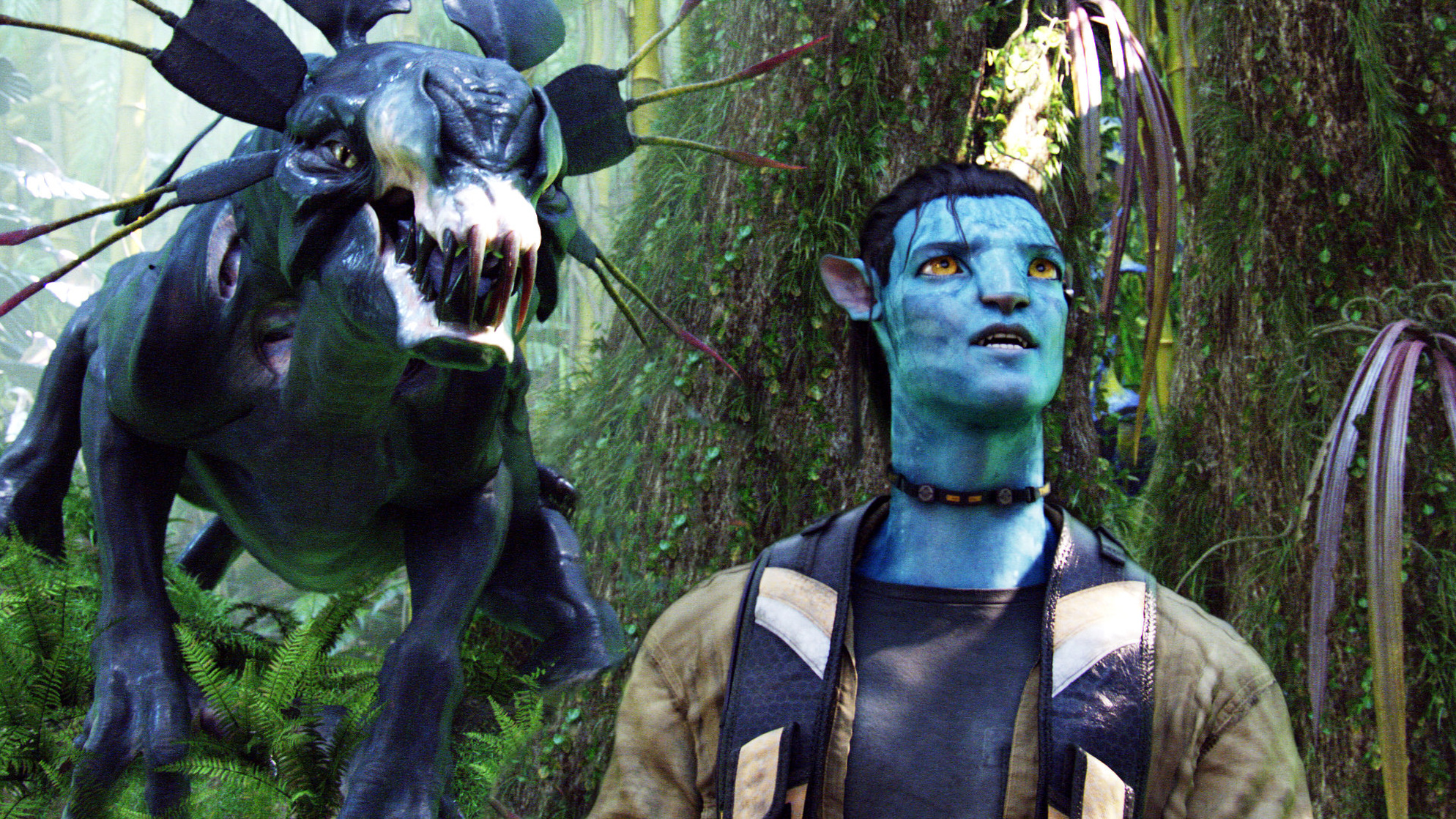 Avatar Avatar