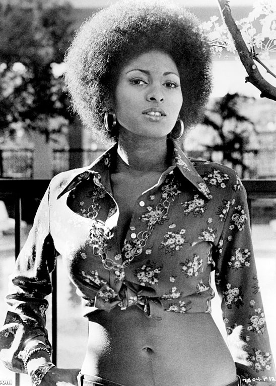 Picture Of Pam Grier